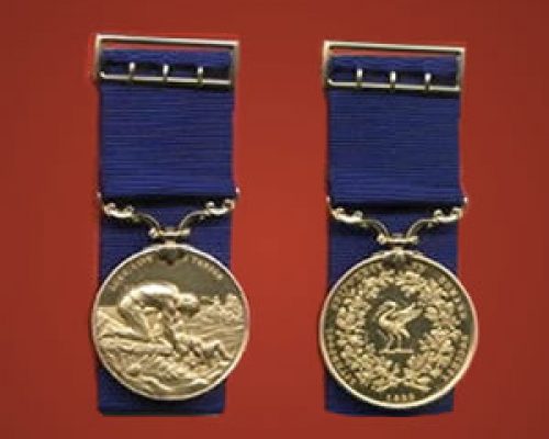 Gold Marine Medal